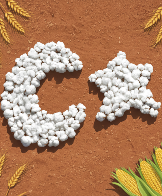 agricultural commodities turkey